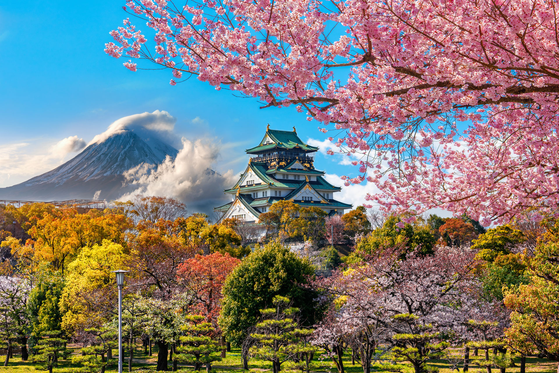 Solo travel japan