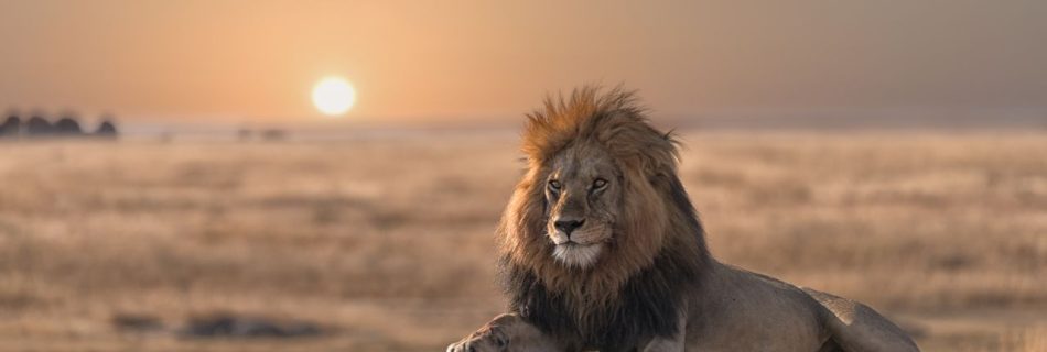 Exploring Cultural Experiences in Africa: Cultural Values, Learning & Heritage Sites