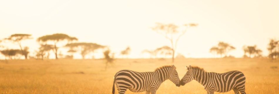 "Exploring Historical Sites in Africa: Architecture, Exploration, and Ancient Civilizations"