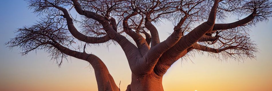 "Discover Africa's Rich History: Top Historical Landmarks and Ruins"