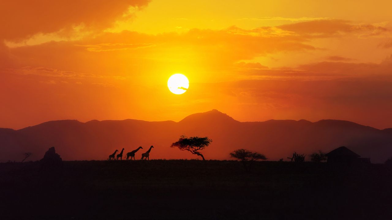 "Adventure Travel in Africa: Top Destinations & Bungee Jumping"