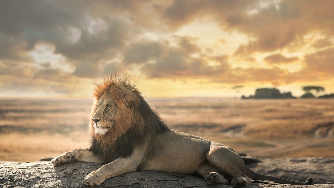 "Experience Night Game Drives at Lake Manyara National Park | Tanzania Safari"