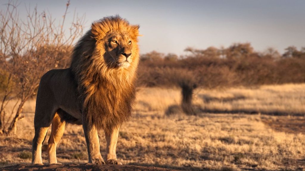 "Exploring Historical Sites in Africa: A Journey Through Time"