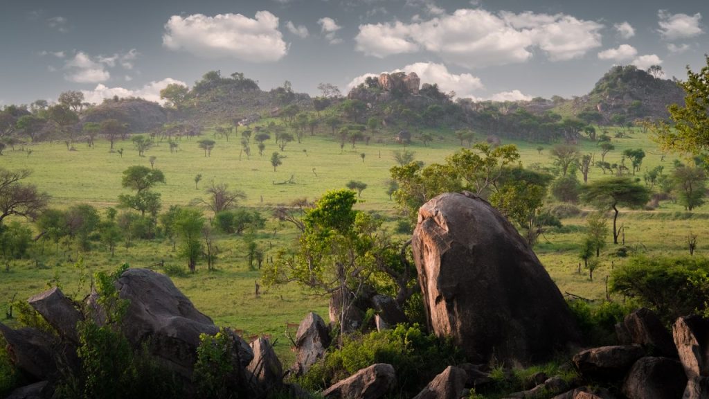 "Exploring Tarangire National Park: Tanzania Safari Guide"