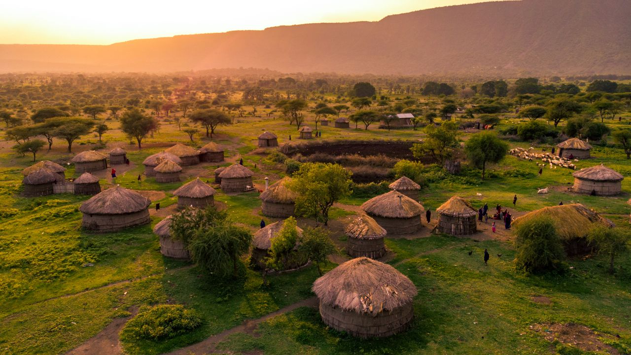 Safari in Africa: Game Drives, Bushwalks & Top Safari Destinations