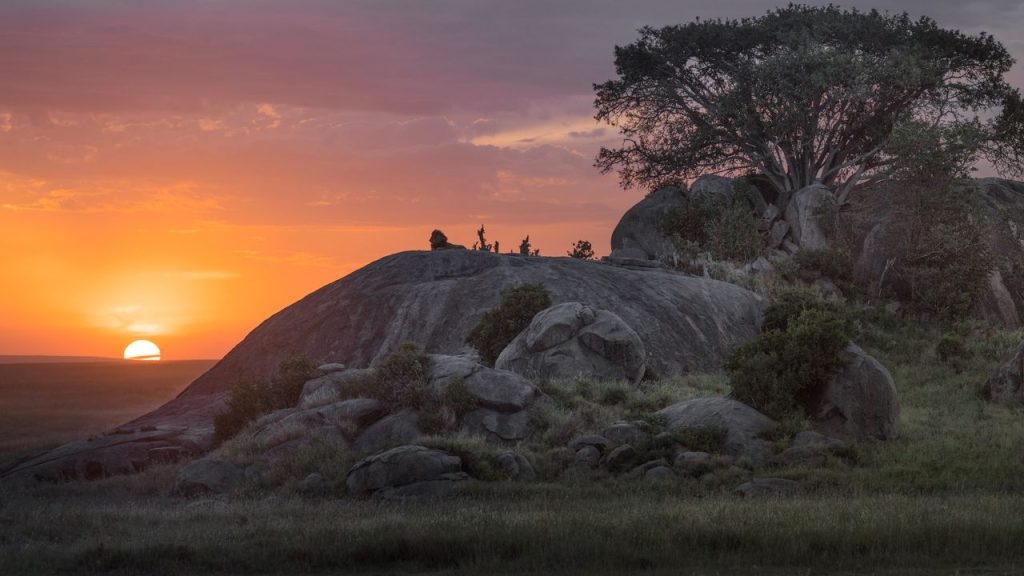 "Serengeti National Park: Discover the Birdlife and Habitats"