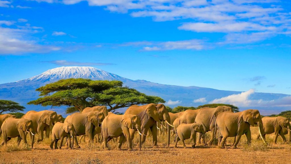 Historical Sites in Africa: Exploring Cultural Heritage & Monuments