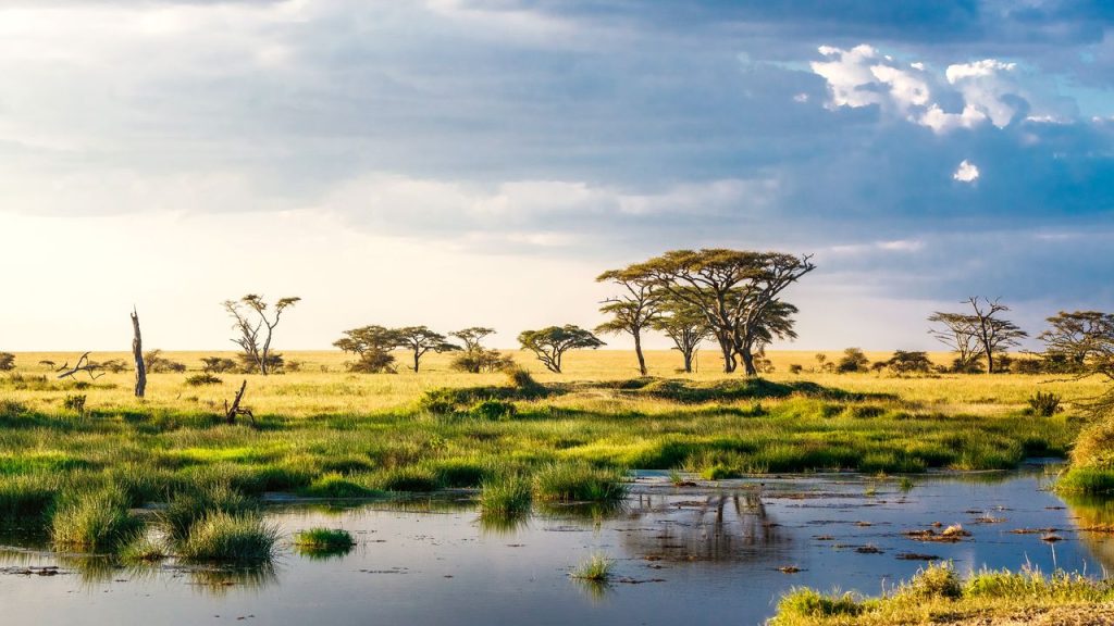 Historical Sites in Africa: Preserving the Past and Uncovering Discoveries