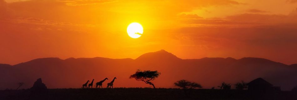 Beach Holidays in Africa: Exploring Tropical Paradises