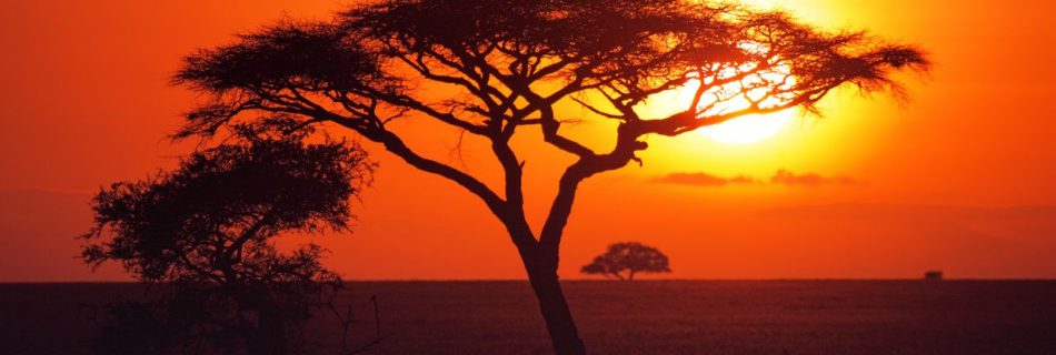 "Discover the Magic of Zanzibar: Beach Festivals, Photography, and Adventure"
