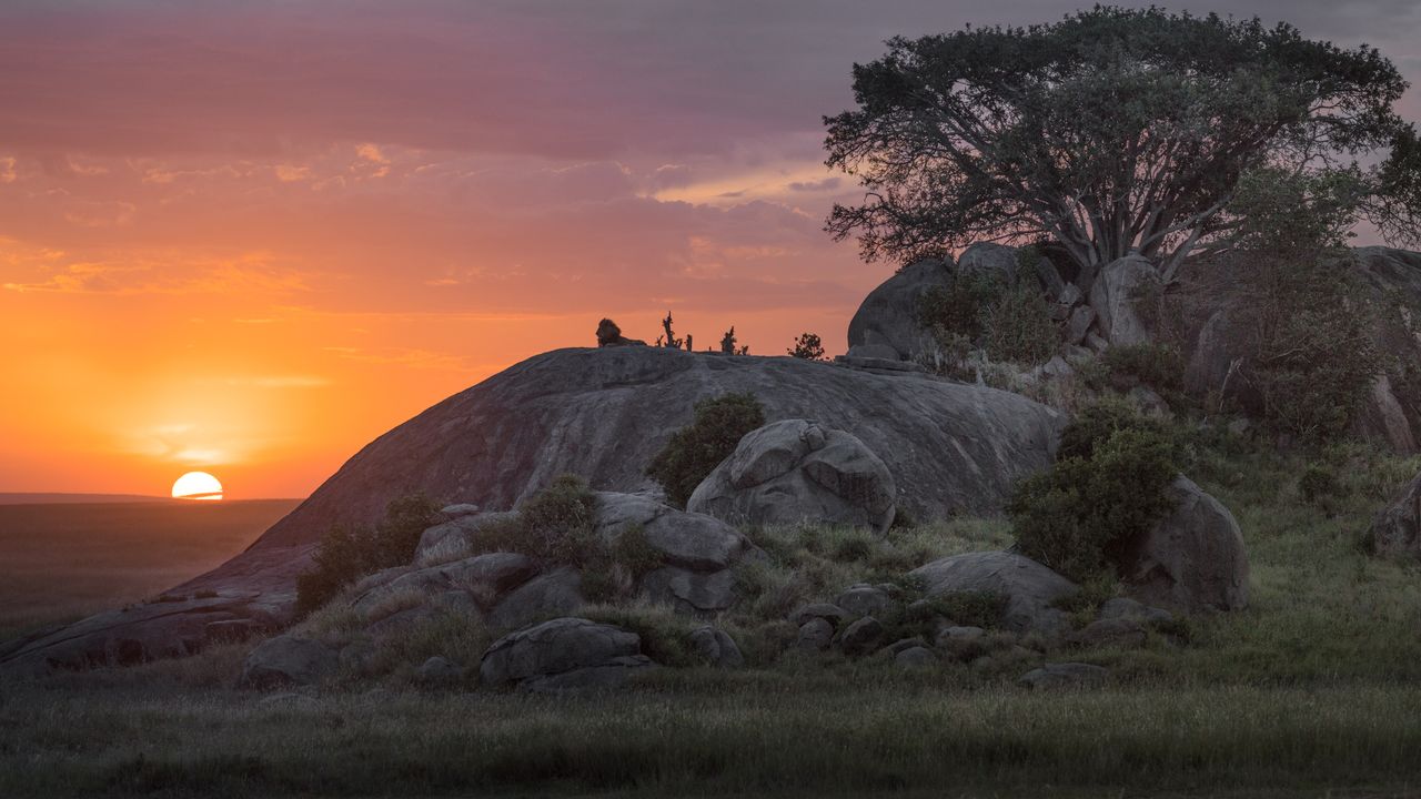 Serengeti National Park: A Wildlife Lover's Paradise