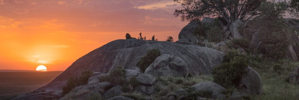 Tanzania Safari: Photography and Cultural Experiences