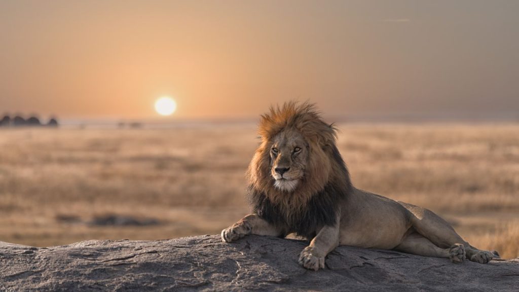 Beach Holidays in Africa: Safety, Tours, Villas