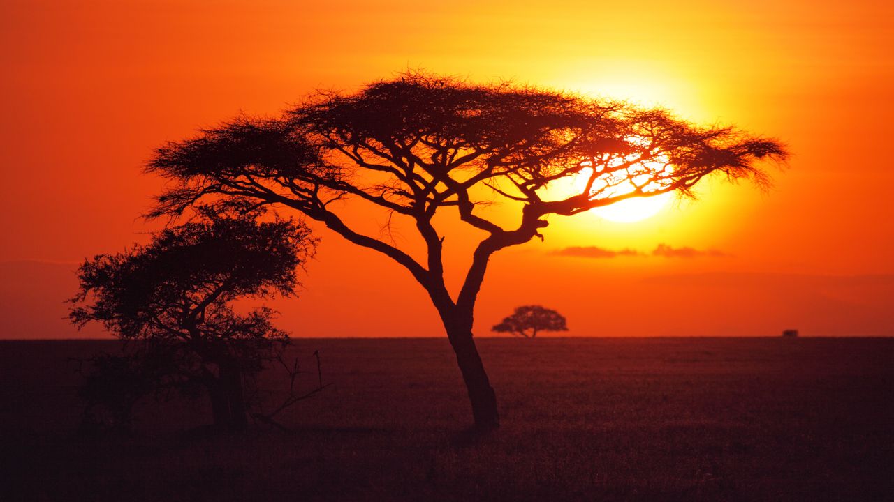 Exploring Serengeti National Park: A Wildlife Paradise