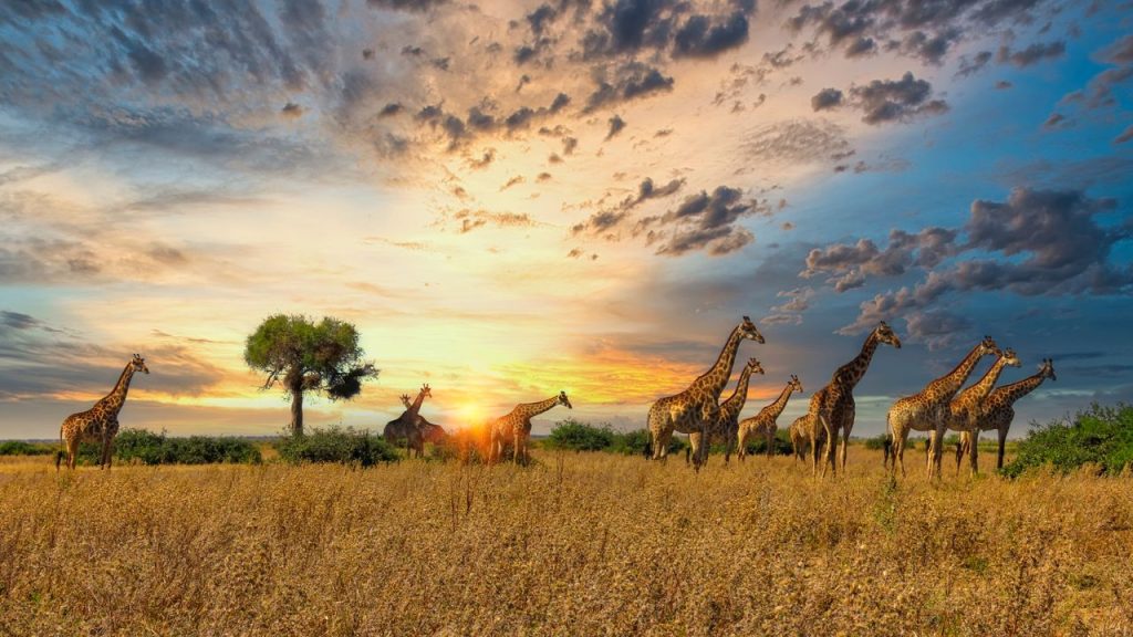 Historical Sites in Africa: Ancient Marvels