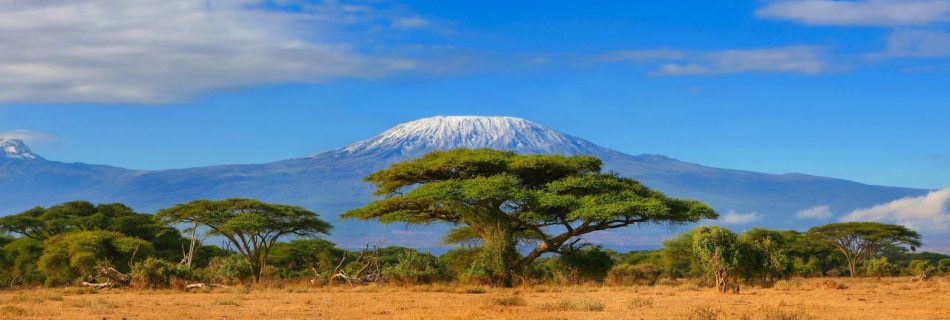 Adventure Travel in Africa: Unleash Your Inner Explorer