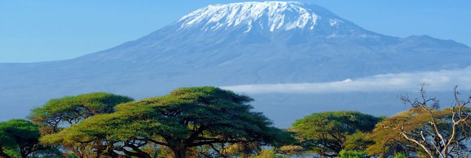 Beach Holidays in Africa: Wellness, Safety, Adventure