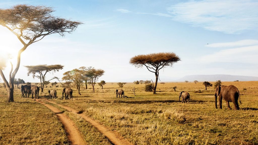 Conquering Kilimanjaro: A Life-Changing Trek