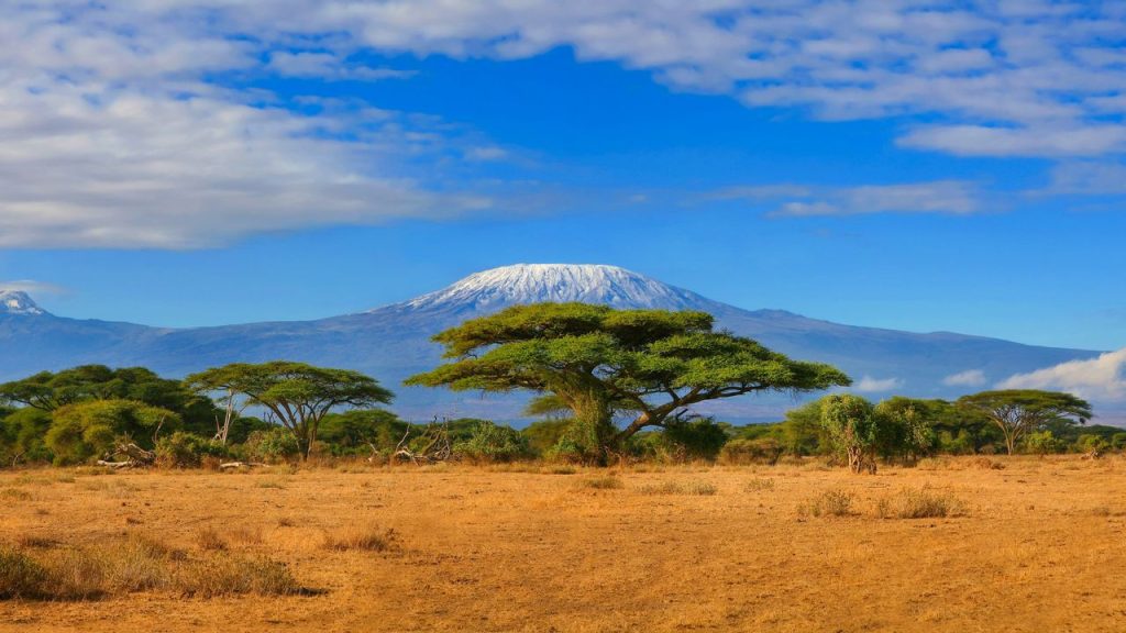 Cultural Experiences in Africa: A Journey of Discovery