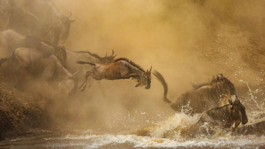 Unforgettable Tanzania Safari: Tarangire National Park