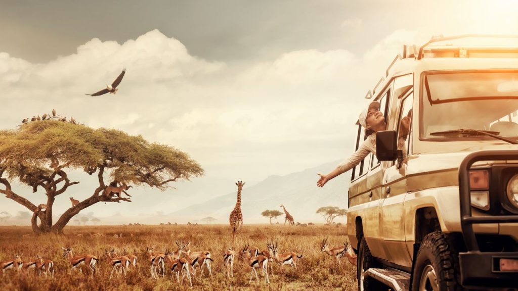 Unveiling Africa's Cultural Experiences